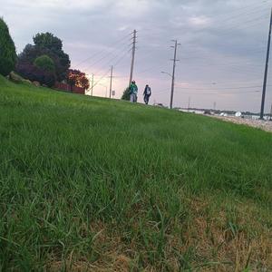 whatyou ('ve) cometo (feat. Rogelio)