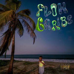 FLOW CARIBE (Explicit)