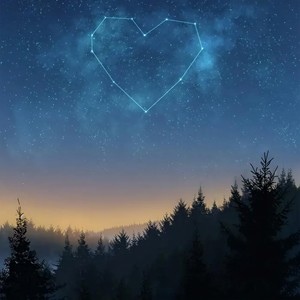 死心塌地去爱你 (怪阿姨版)