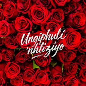Ungiphuli'nhliziyo