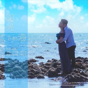 阳光下的海