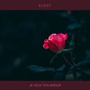 Je Veux Ton Amour