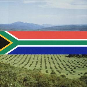 Uthando Lwakho(Your Love)