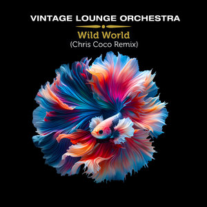 Wild World (Chris Coco Remix)