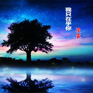 我只在乎你 (Demo)