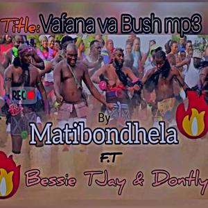 Vafana va Bush (feat. Mavone Jaha ra Bush & Dontly)