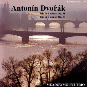 Trio for piano, violin and cello in F minor, Op.65: Allegro ma non troppo