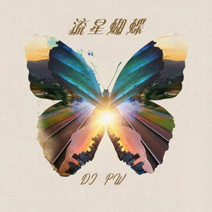 流星蝴蝶 (电音版)