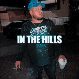 In The Hills (Indian Hills Anthem) (feat. Lil Sosa, Big L.A. & Tune$) [Explicit]