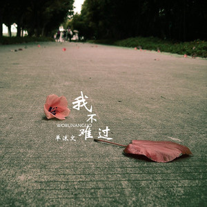 单沫文 - 我不难过