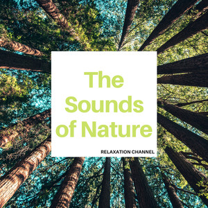 The Sounds of Nature