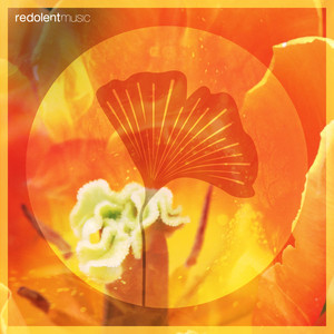 Loco Morocco (DJ CHUS Extended Remix)