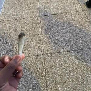 Ala Supreme (feat. Xottic)