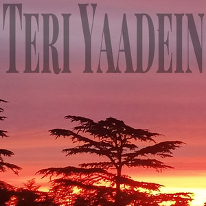 Teri Yaadein