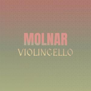 Molnar Violincello