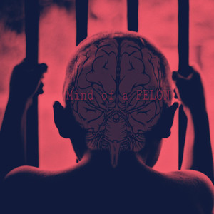 Mind of a Felon (Explicit)