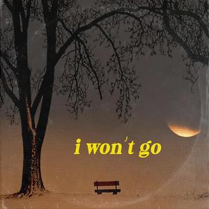I Won't Go