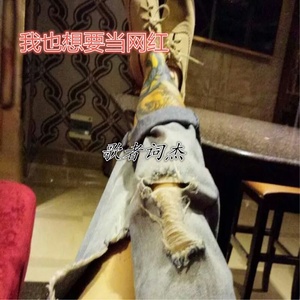 我也想要当网红 (伴奏)