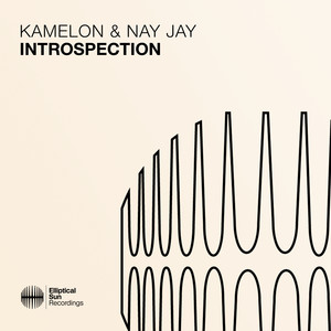 Introspection (Extended Mix)