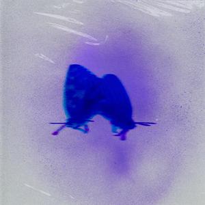 Off a Blue (Explicit)