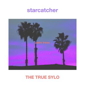 palm trees (feat. THE TRUE SYLO) (Explicit)