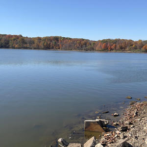 LEAVE THE EARTH (Explicit)