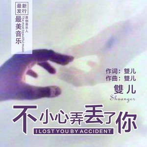 不小心弄丢了你