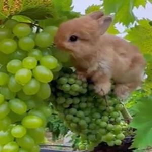 15 (feat. Expensa) (Explicit)