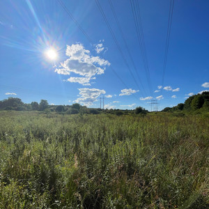 Why *****? (Explicit)