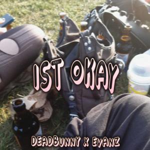 Ist okay (feat. EVANZ)