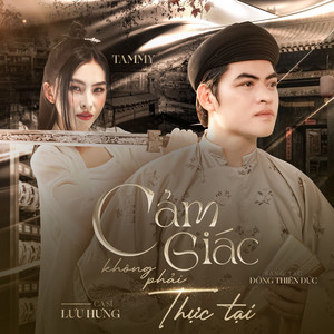 Cảm Giác Không Phải Thực Tại (Remix)