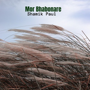 Mor Bhabonare