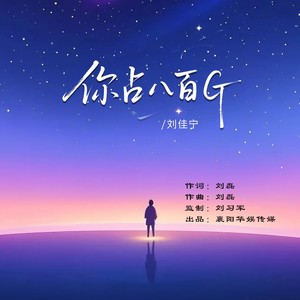 你占八百G (DJ阿能版)