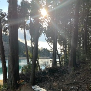 心Kokoro ～わかるでアンタの気持ち～