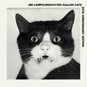 Jim Campilongo - Snakestretcher