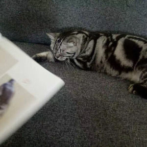 陌生城市的早晨