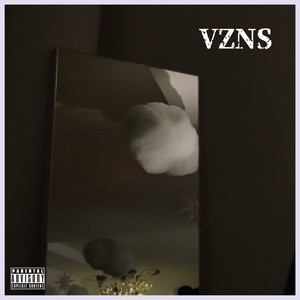 VZNS