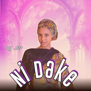 Ni Dake (feat. Jamil DK)