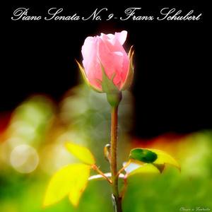 Piano Sonata no. 9 in B major, D. 575 - Piano Sonata no. 9 in B major, D. 575: II. Andante