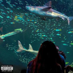 08/11 (feat. Starboy Uni) (Explicit)