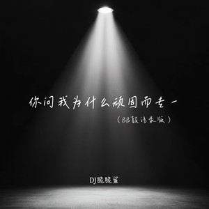 你问我为什么顽固而专一 (BB鼓语录版)