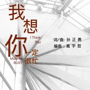 我想你一定很忙