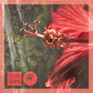 NenaHalena - Prado's Revenge