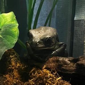 esclavo de tu piel <3