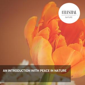 An Introduction With Peace in Nature