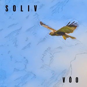 SOLIV - Vôo