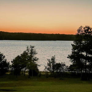 Surviving (feat. 6evermir) (Explicit)