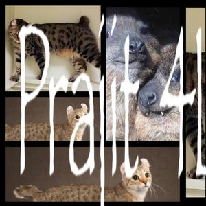 CMC (feat. JohnnyT) (Explicit)