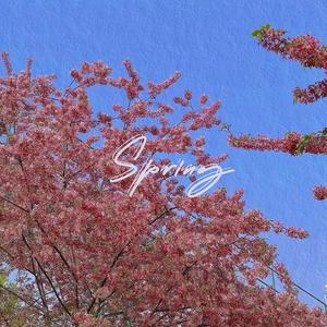 21℃ (Single Version)