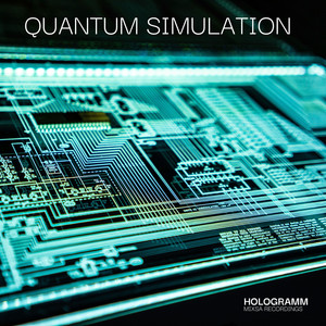 Quantum Simulation